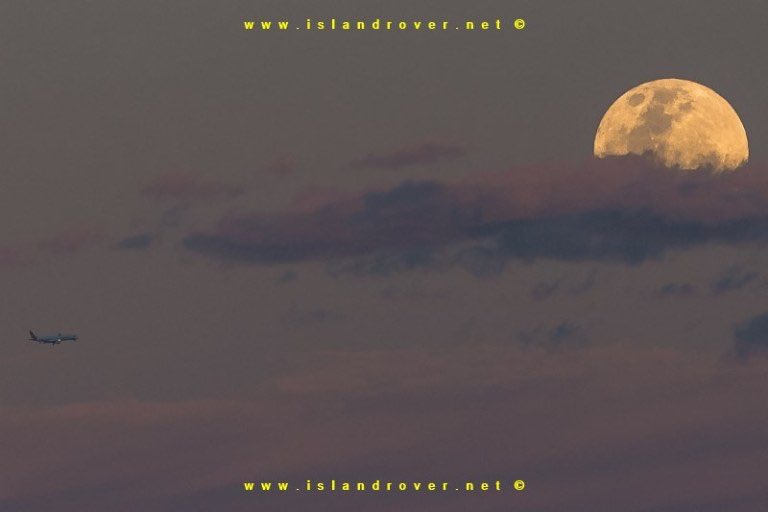 APadayhag's tweet photo. #supermoon2016 in #Shorncliffe #Brisbane https://t.co/Tvfv1pl5dZ also check last super moon 2014 in #Nudgeebeach https://t.co/cszi3H2vm5 https://t.co/2B765ETevh