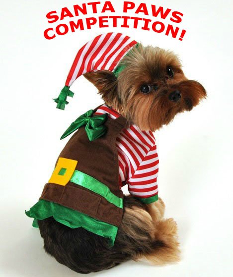 Dress up your pooch to win some goodies <a href="/Lisgooldp2p/">Lisgoold p2p</a> on Jan 1st!