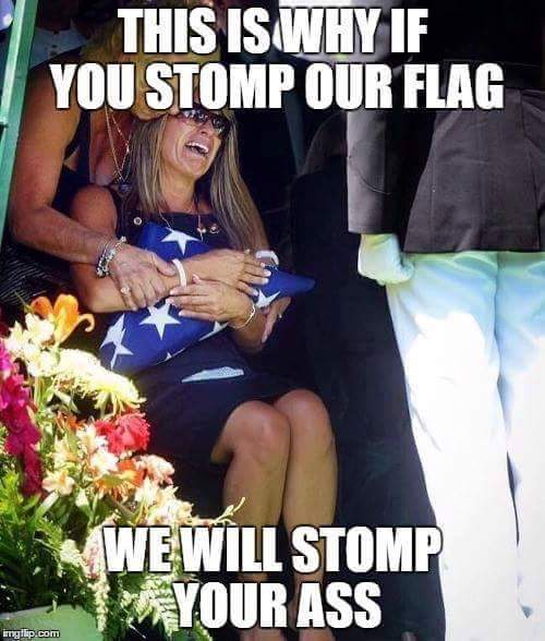 Shelly! the Pundit (@sjfalcigno) on Twitter photo 