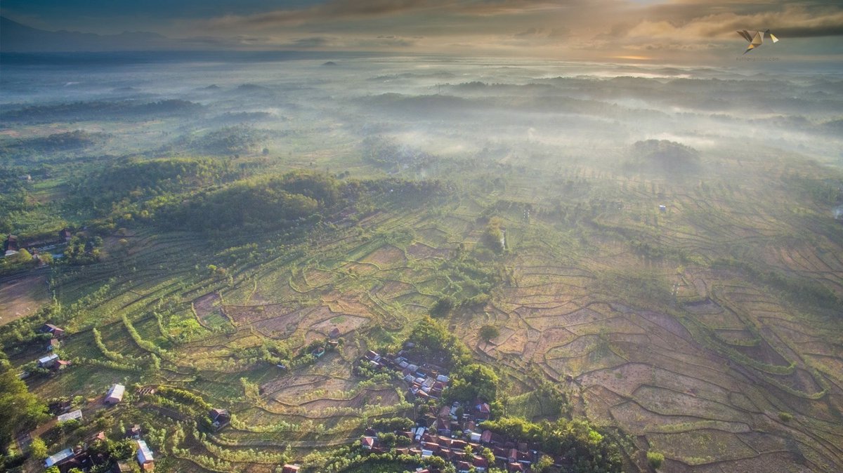 I tried to catch some fog but i mist, #goodmorning #wonderfulindonesia #fog #indonesia #travel #aerial #drone #fotoudara #photooftheday