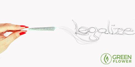 greenflwrmedia's tweet photo. If You Are Succeeding in the Cannabis Industry, Then You Should Thank an Activist https://t.co/S2TOeSc9sF https://t.co/fZ98ir8MRs