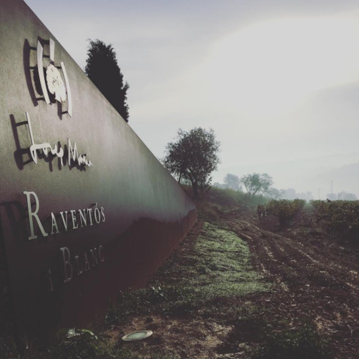 Advintage Dist. SC tweet media