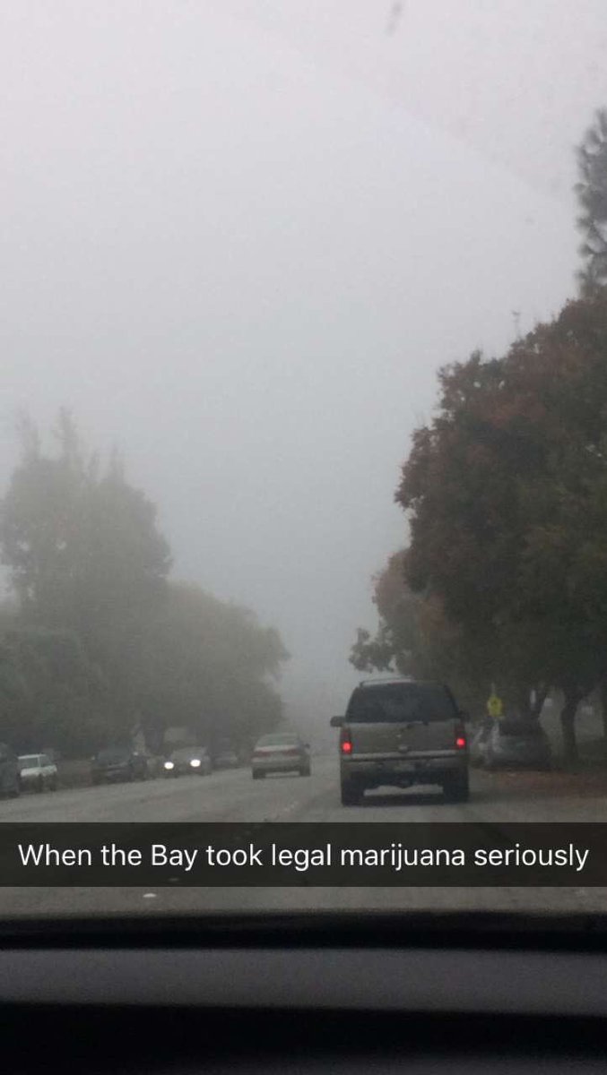 vampirattv's tweet image. When the Bay takes the legalization of Weed seriously. #BayAreaTings #BayArea #BayAreaProblems