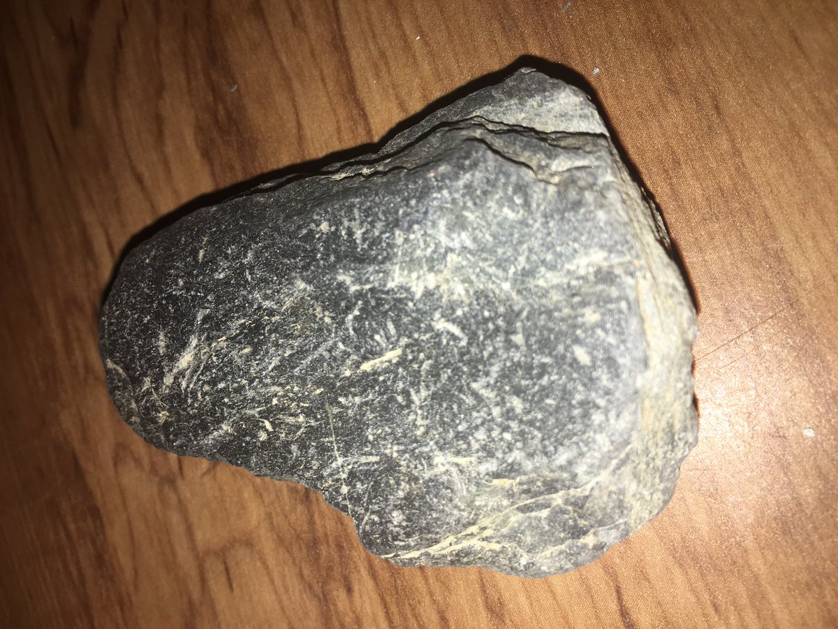 GreenThumbGirls's tweet photo. Whoop, there it is! I just ID'd one of the pieces of #shist I found in #PA 👌🏼 #RockHound #Nature #Hiking #Fossils #Geology https://t.co/7eTgStlDbc