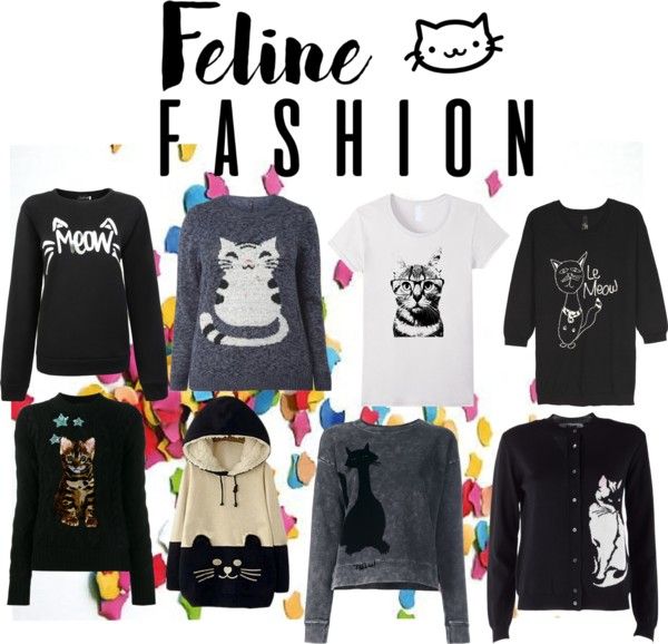 LifeWithSuzieM's tweet image. All about Cats this post
buff.ly/2fRB0v0
#bloggerscollective @BBlogLove @TheBlogger_Hub