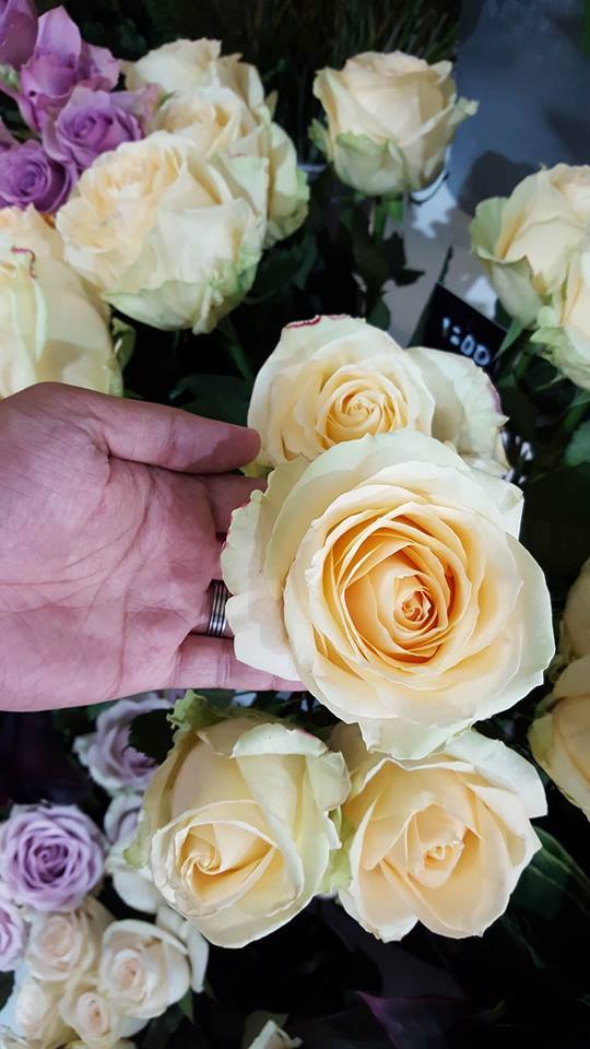 UPMuscat's tweet photo. For the moments in life when we need a little flower power! https://t.co/bdM1aruyub