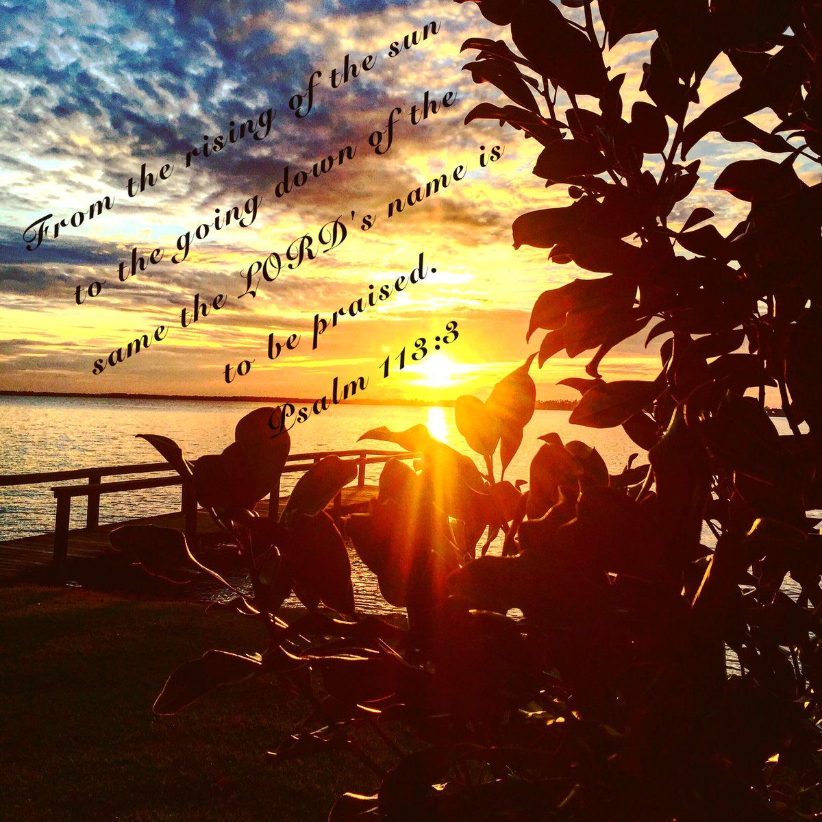 Encouraging_W's tweet photo. From the rising of the sun to the going down of the same the LORD's name is to be praised. Psalm 113:3 #PraiseTheLord #GiveGodPraise ☺️🌺 https://t.co/MZVQSCN5y6