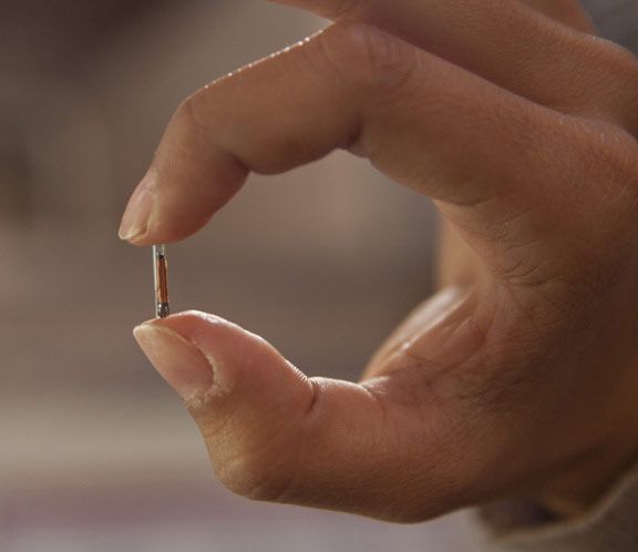 FoundAnimalsOrg's tweet image. Do you really know how microchips work? It takes mere minutes to update your pet’s microchip! #MicrochipMonday foundanimals.org/how-microchips…