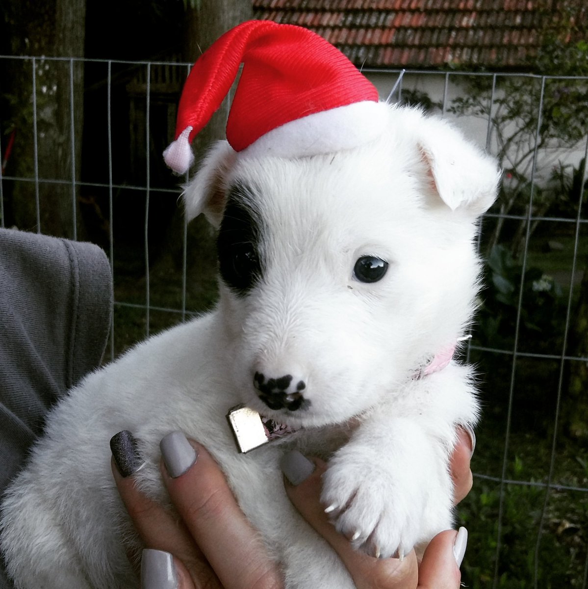 Kit_nelson's tweet image. tem a Minnie tbm xD