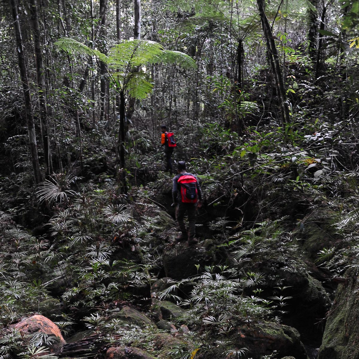 eigeradventure's tweet photo. Bahagia itu sederhana, ketika kita bisa menyatu dengan alam dan menikmati setiap keindahan kemudian menjaganya agar tetap lestari. #BBE2016 https://t.co/WHRF7siaII