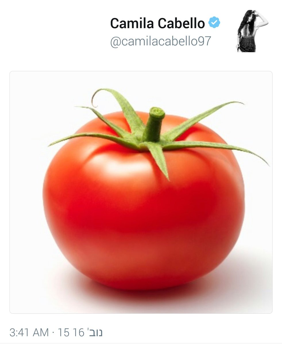 geekmila's tweet image. I CANT BELIEVE SHE DID THAT
I love my baby so much she makes me nothing but happy😩
and YES my day is made😭❤