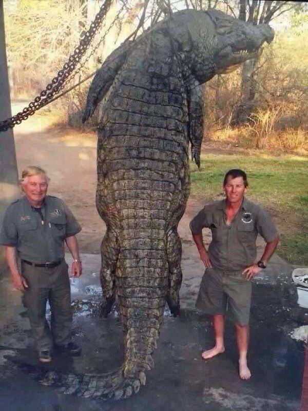 CauseWereGuys's tweet photo. Lawd pray for Louisiana, ain't nothing wrong with them they just got dinosaurs down there https://t.co/TWlq6RoOkS
