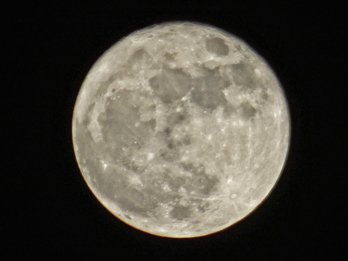 timegates001's tweet photo. Super Moon © 2016 by timegates001 from Louisville, KY https://t.co/4jdj3dYTi4