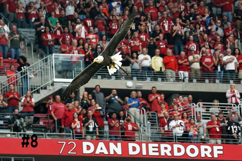 Media Tweets by Arizona Cardinals (AZCardinals) Twitter