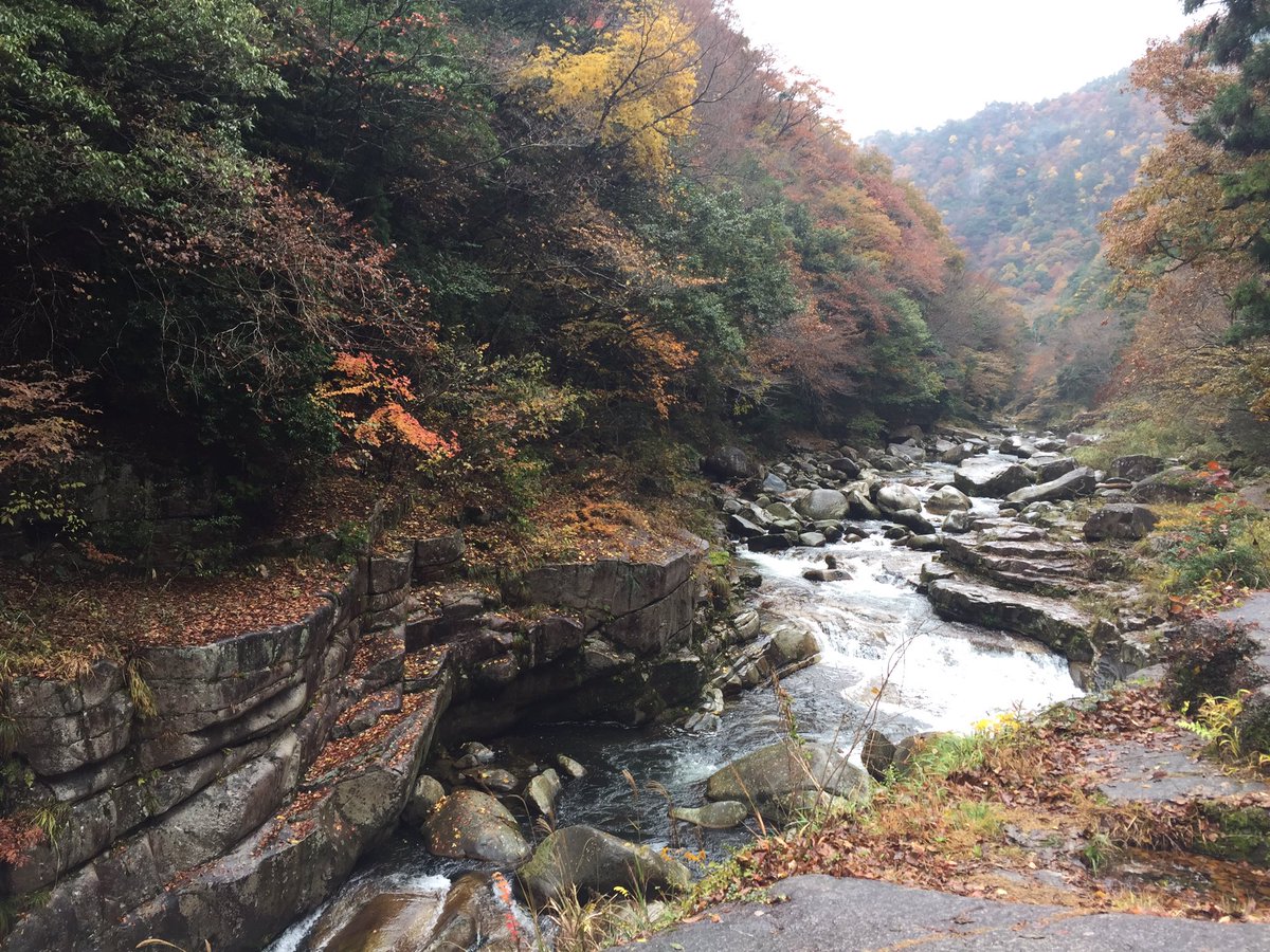 こっくさん Kokkusan74 Twitter