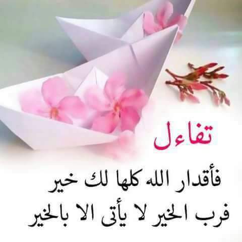 salah yaseen (@salahyaseen26) on Twitter photo 