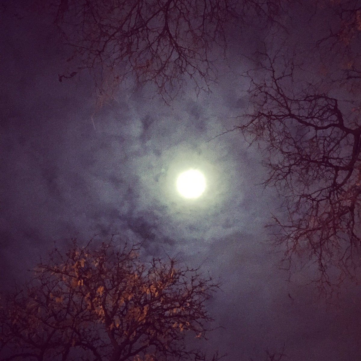 TimDCassidy's tweet image. #supermoon #cloudymoon #Bronx