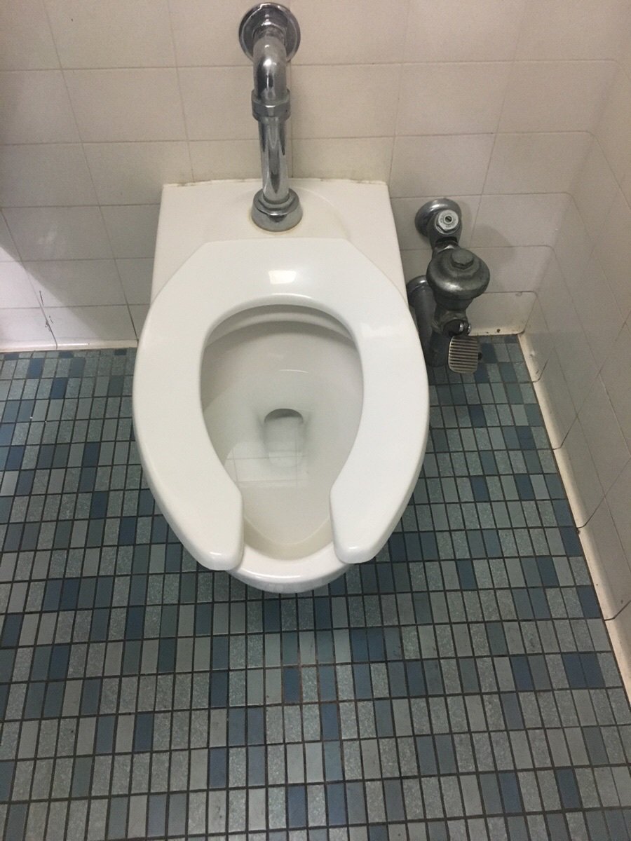 TopStudentMemes's tweet photo. why doesn't every bathroom have foot pedals .... #realtalk https://t.co/aQmZOU7MTG