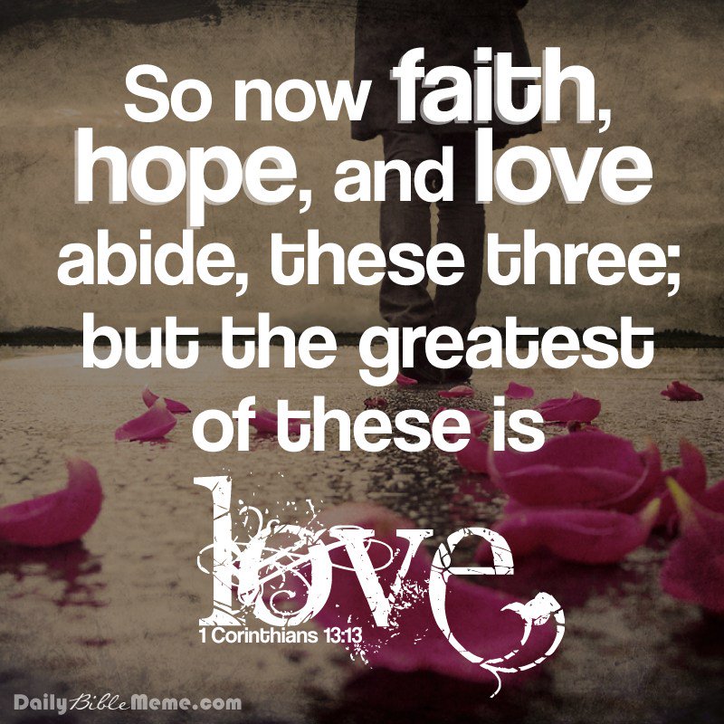 sprec61551's tweet image. 