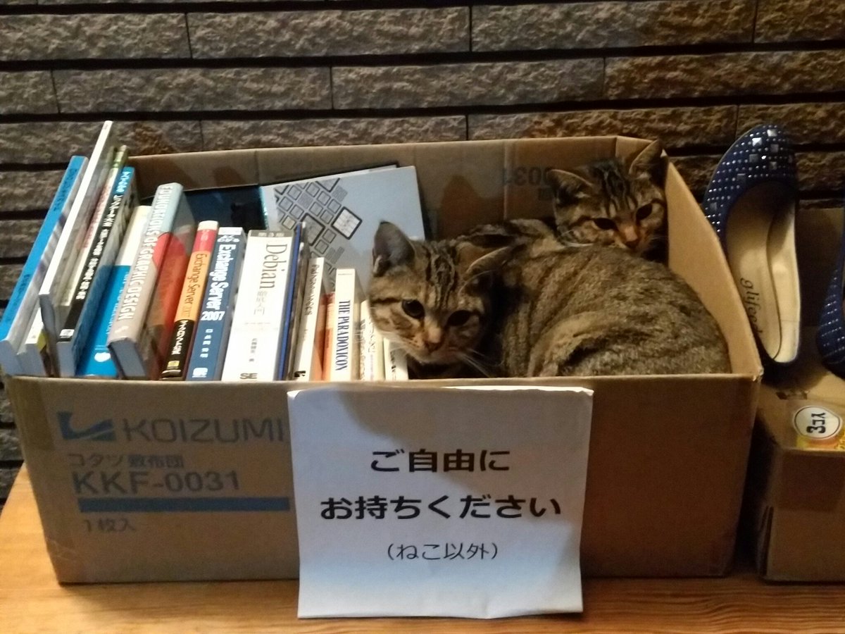 ご自由にお持ちください ネコはダメ Twitterで話題の ねこ 画像まとめ 11 14 11 Togetter ご自由にお持ちください ネコはダメ Twitterで話題の ねこ 画像まとめ 11 14 11 Togetter