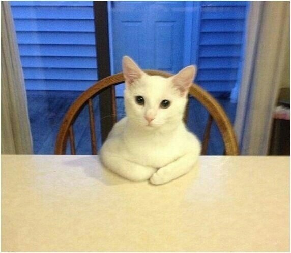 커뮤뛰고있어요 tweet media