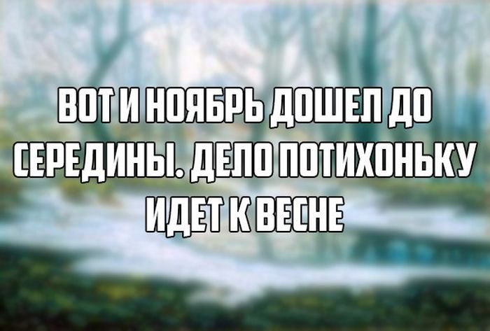 Смешные картинки на ноябрь, днем