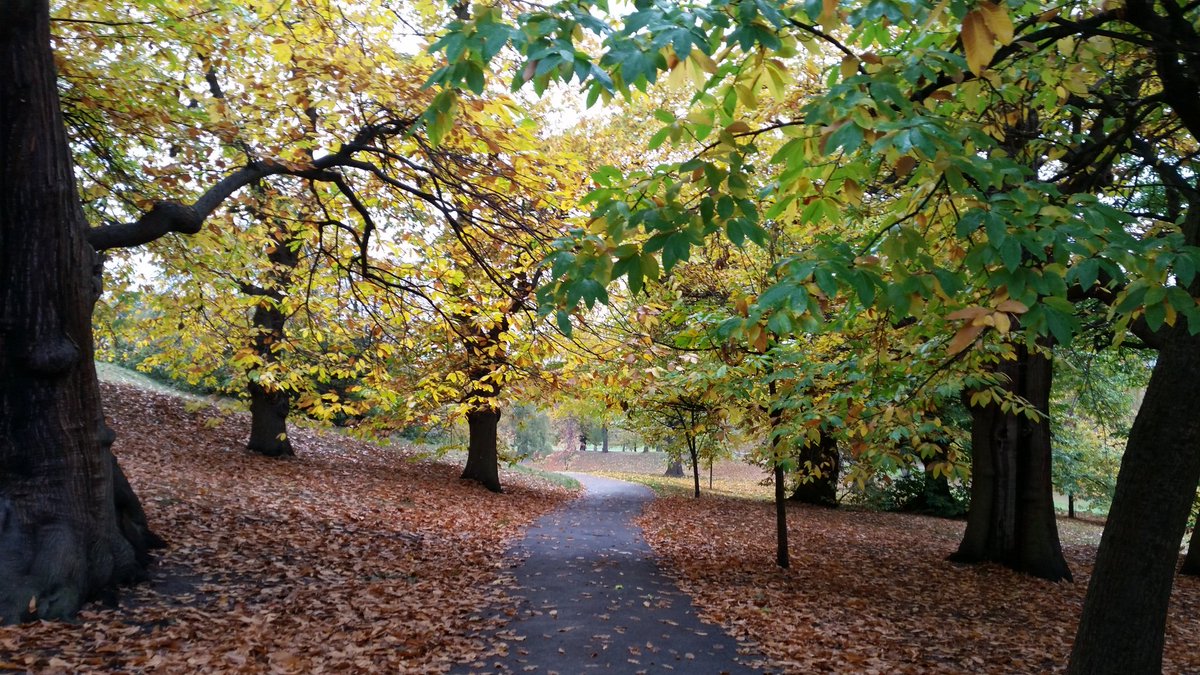 moviesweep's tweet photo. ON WAY TO WORK #Autumn #awesome #royalgreenwichpark @greenwichdesign @festivalformula @CTBFilms https://t.co/3qVQfMg2k0
