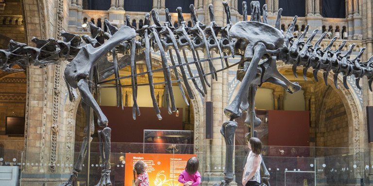 VisitBelfastOrg's tweet image. #Belfast's @UlsterMuseum will play host to Dippy the diplodocus when he goes on tour in 2018! More&amp;gt;&amp;gt; bit.ly/2fc4Iaf #dippyontour