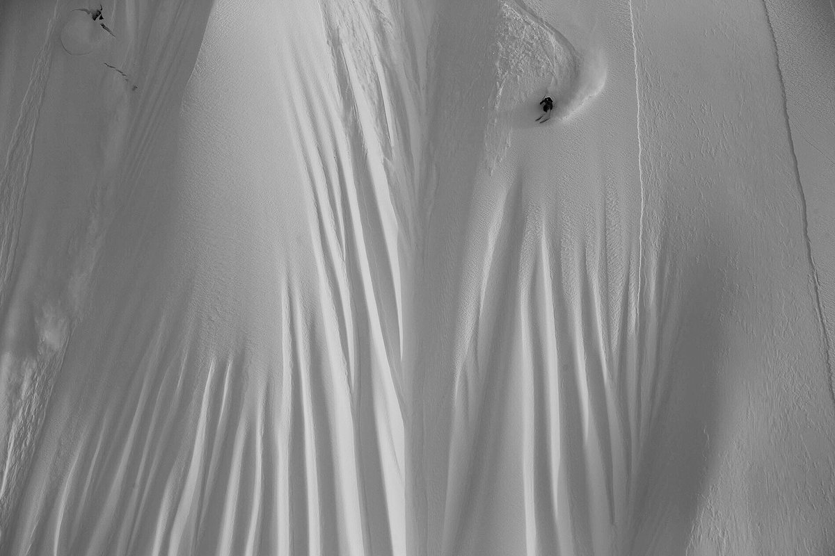 Will Wissman tweet media