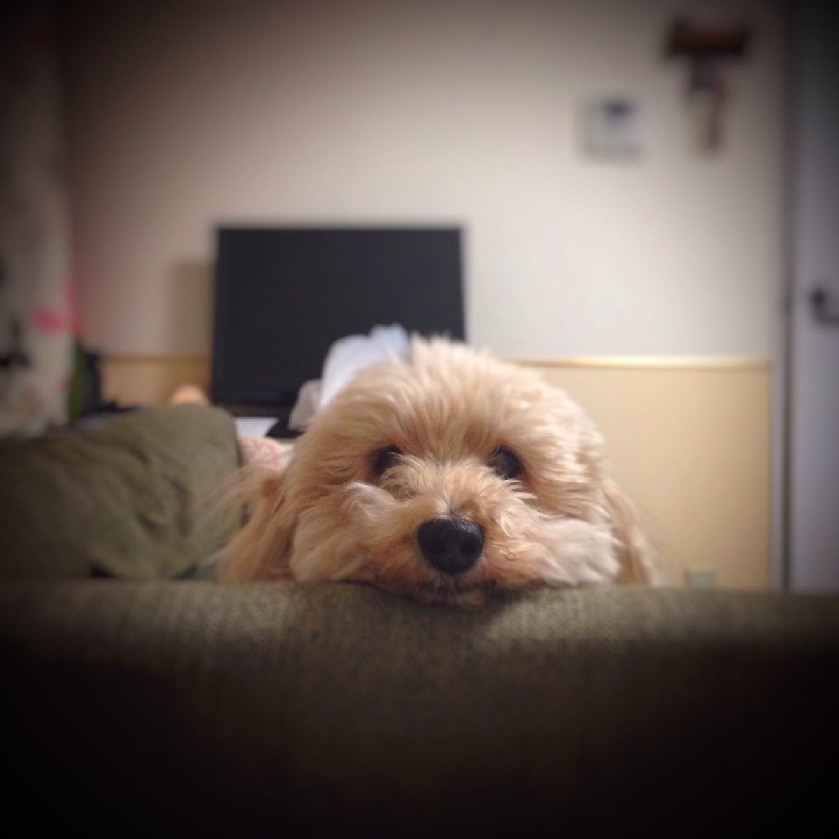 Mini_DF's tweet image. 