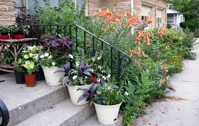 InfoYubo's tweet photo. #plasticpot in many garden used color injection pot to plant flower, decoration the garden. https://t.co/PRBdyEDOsk
