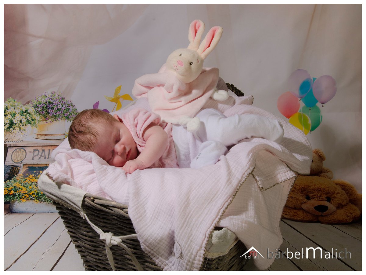 Babyfotos hashtag on twitter