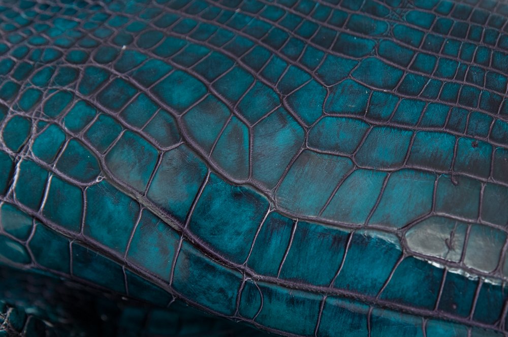 Caravelpelli's tweet photo. Alligatore Etrusco 
https://t.co/LSyr1drpSz
#AlligatorLeather #AlligatorSkin #AlligatoreEtrusco #ExoticLeather #Caravel #MadeInItaly https://t.co/1uzMbsI87U
