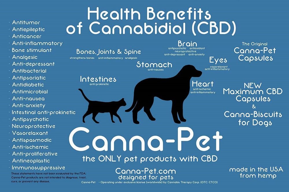 CodeLucid's tweet image. Should you administer Medical #Marijuana to your Sick Pet #Dog? Learn more about the legal &amp;amp; therapeutic precedents&amp;gt;
codelucid.blogspot.com/2016/11/Cannab…
