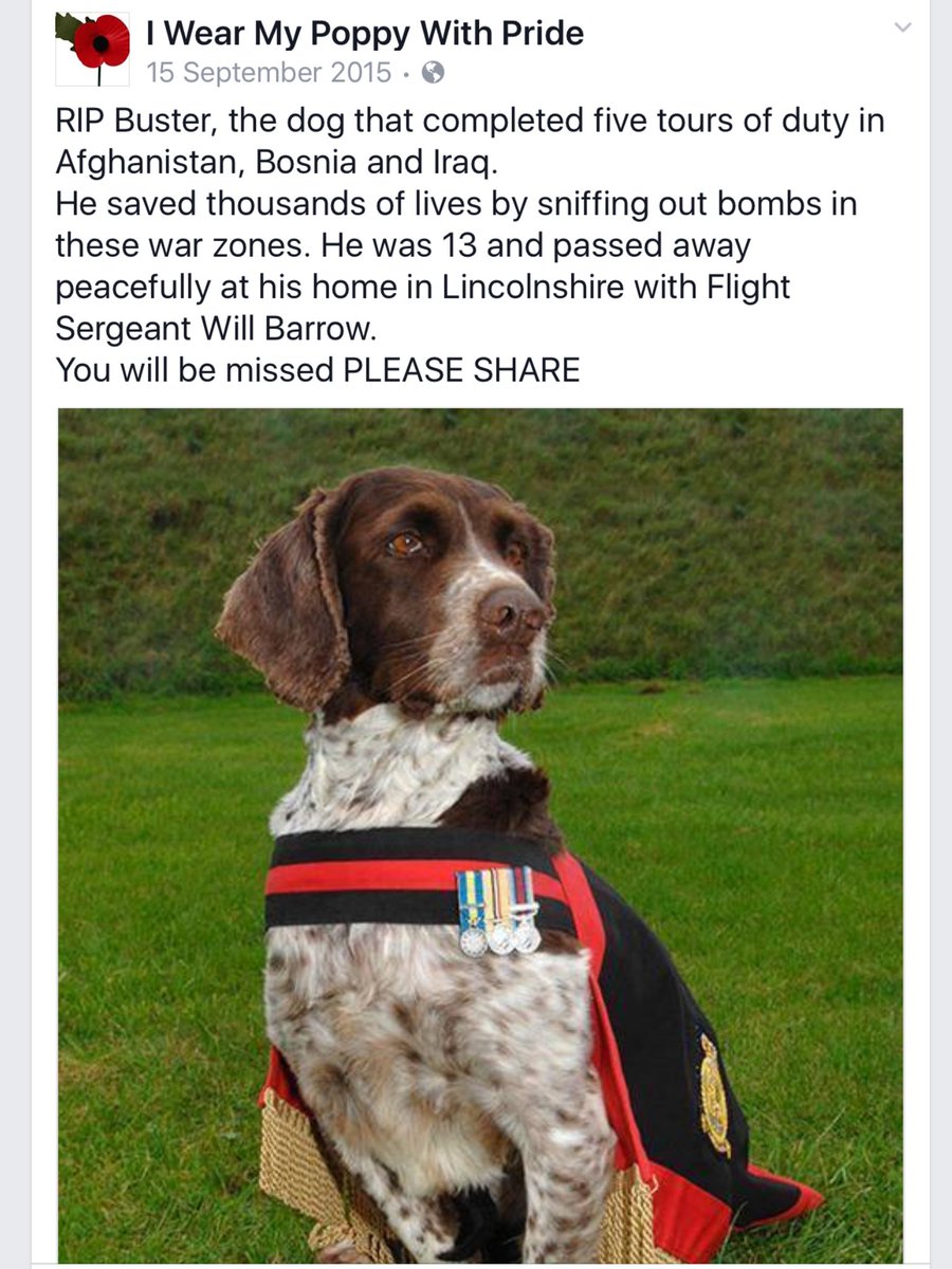 Brave doggy. How many lives he must have saved. 

RIP.