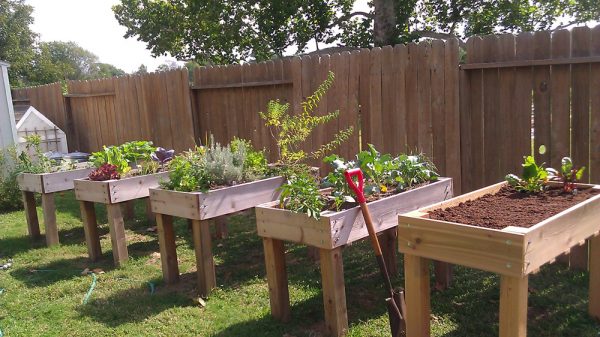 Garden With Waist Height Raised Gardening Beds Without Bending Over - homesteadingfreedom.com/garden-with-wa…