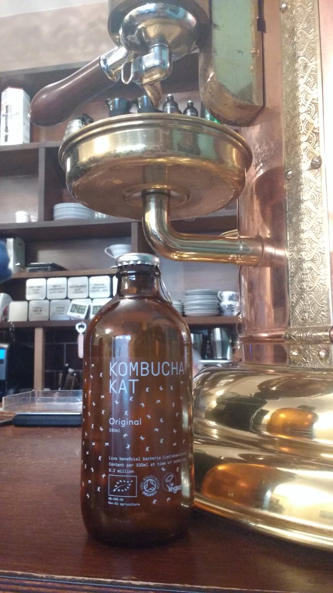 Now in stock! Kombucha Kat! #Kombucha #fermented #lowsugar #bettersoftdrinks