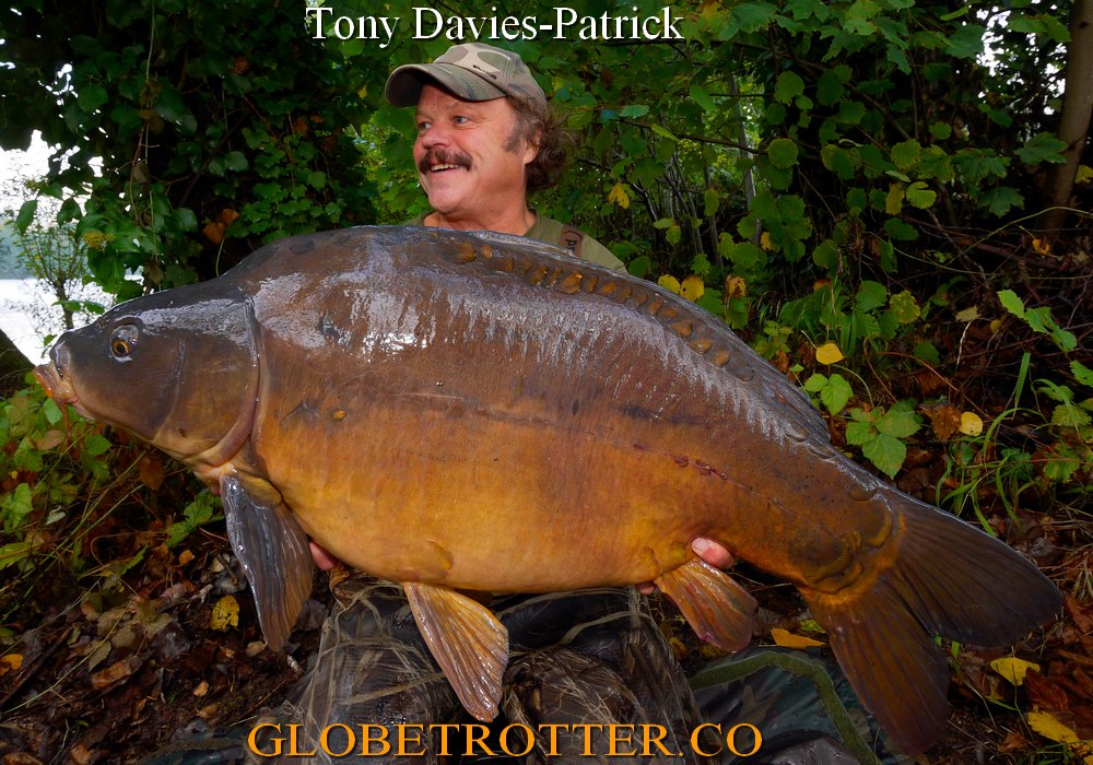 CARPWORLD's tweet photo. RIVER CARP - Globetrotter with a recent big mirror carp caught on a 85mm boilies hookbait! (2 X 30mm + 25mm). https://t.co/ByZLtW6EpG https://t.co/ftvrT2iN2Q
