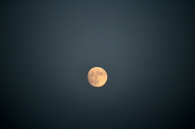 スーパームーンのtwitterイラスト検索結果