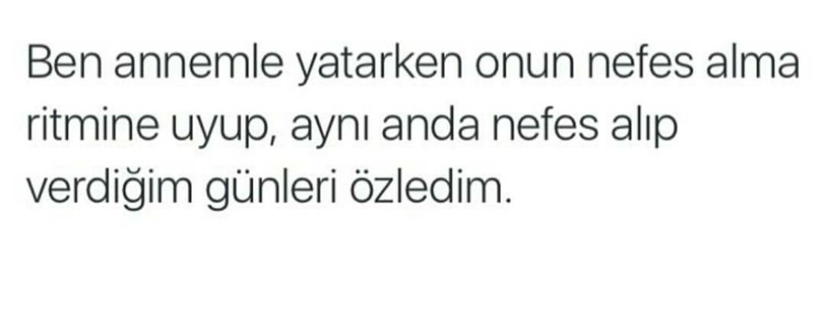 ceylani_arslan's tweet photo. https://t.co/U09gemI7Kj