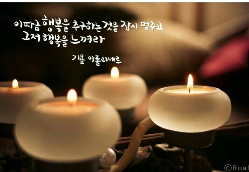 미라클 월드 (@adelinefree80) on Twitter photo 