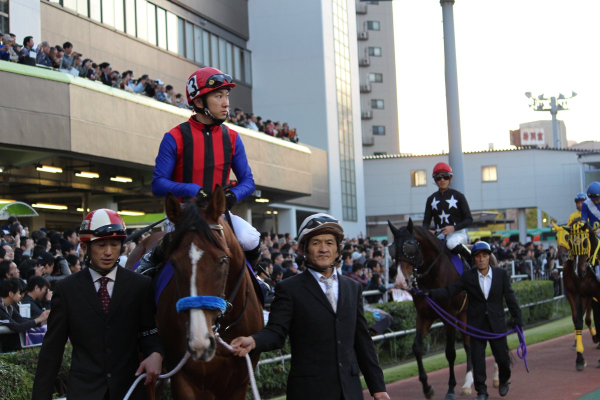 ハイセイコー記念2016 Twitter予想 Togetter [トゥギャッター]