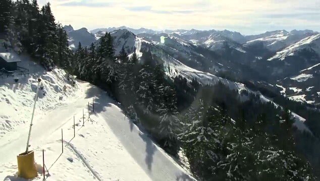 Westendorf tweet media