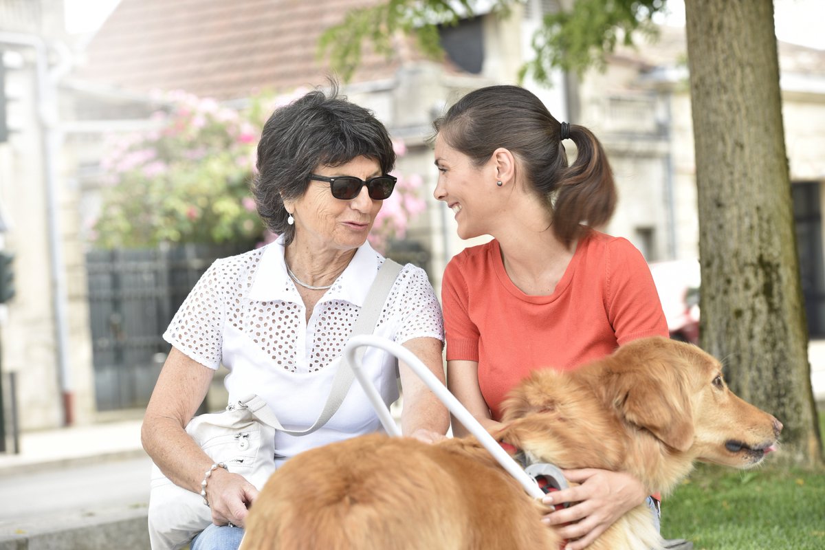 Captain_IPA's tweet photo. How to behave with BLIND people? Mr. Bonventi explains the right behaviors to have with them: https://t.co/tDSgy1o1Rg https://t.co/7p0RBycq2z