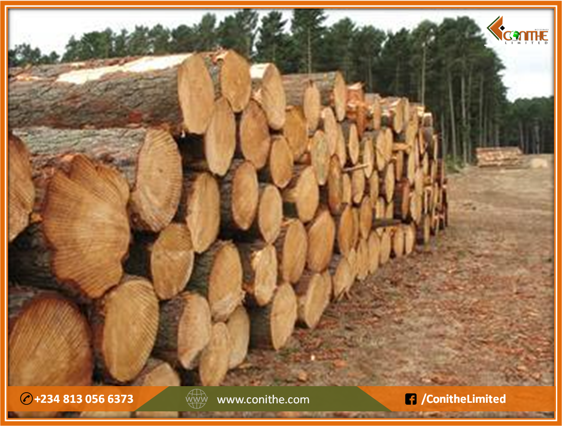 ConitheLimited's tweet image. #AfricanWood #Nigeria