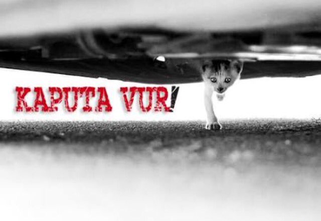 Soğuk havalarda araç motorlarına sığınan can dostlarımız için LÜTFEN KAPUTA VUR! #sokakcanları #petsiparis