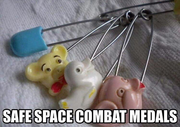RedneckUSA101's tweet photo. #SafetyPin #safetypinsolidarity #SafetyPinUSA #Crybabies #HillarySupporters #ProPresidentTrump #Rednecks #DeplorablesForTrump #Redneck101 https://t.co/QEVoDqDtUE