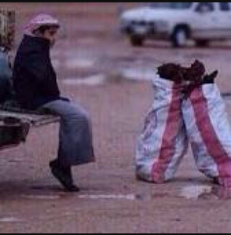 الحلم 27K tweet media