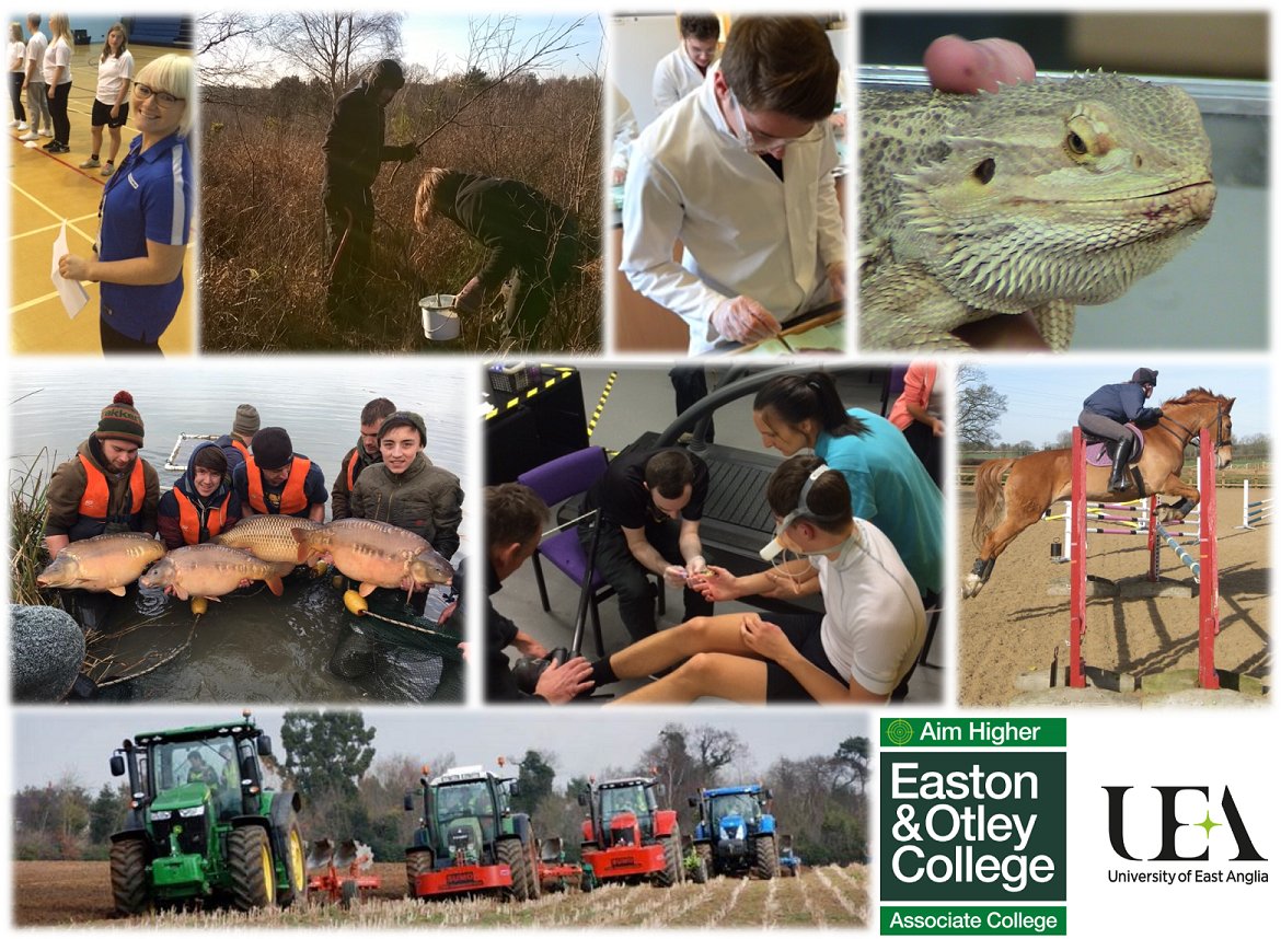 HigherEdEOC's tweet photo. #fisheries #equine #sport #veterinary #ecology #animal #science #degree #OpenEvening 17/11 6pm #NorfolkRT #SuffolkRT Easton&amp;OtleyCollege https://t.co/xUsx4JSJKq