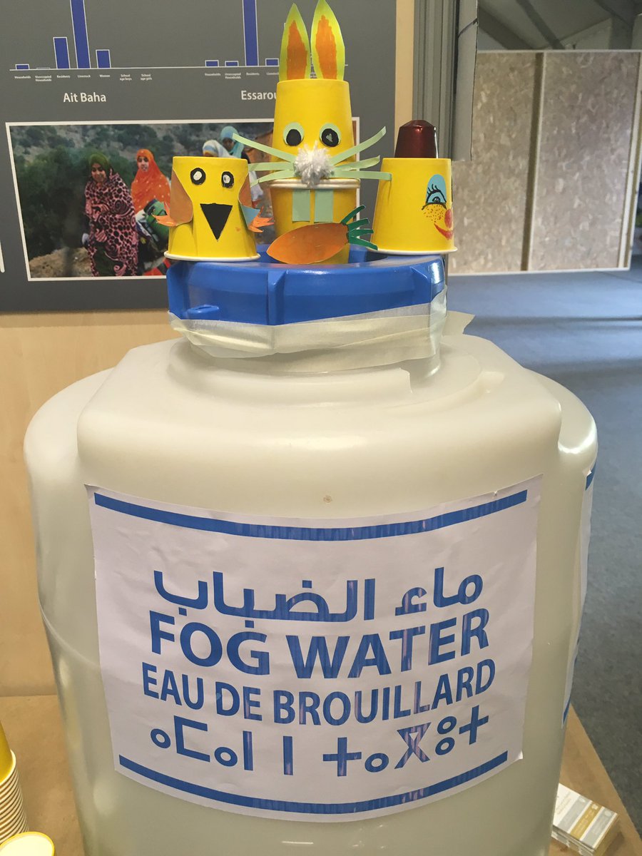 DarSiHmad's tweet photo. It's Tuesday morning at #cop22 and we're ready to share our #fogharvesting project. Come talk to us and grab a drink of #fogwater! https://t.co/qW4NGqk9Ey